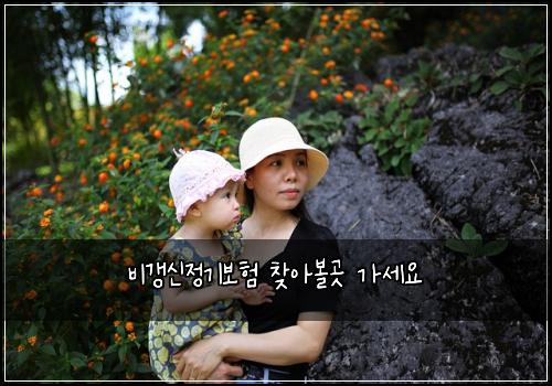 비갱신정기보험 찾아볼곳  가세요