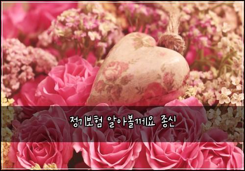 정기보험 알아볼께요  종신