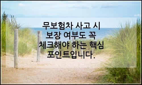 오늘의 이미지