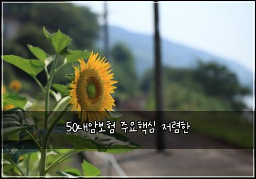 50대암보험 주요핵심  저렴한