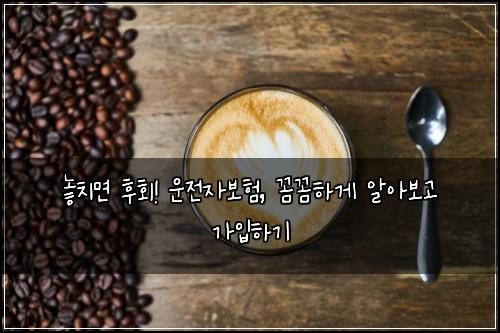  놓치면 후회! 운전자보험, 꼼꼼하게 알아보고 가입하기