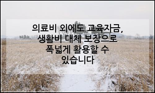 오늘의 이미지