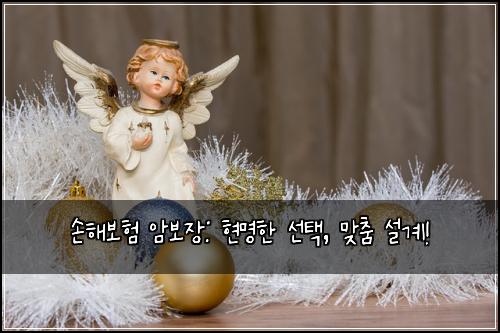 손해보험 암보장: 현명한 선택, 맞춤 설계!