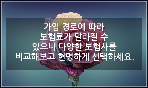 오늘의 이미지