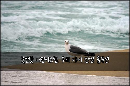 굿앤굿 어린이보험: 우리 아이 안심 솔루션
