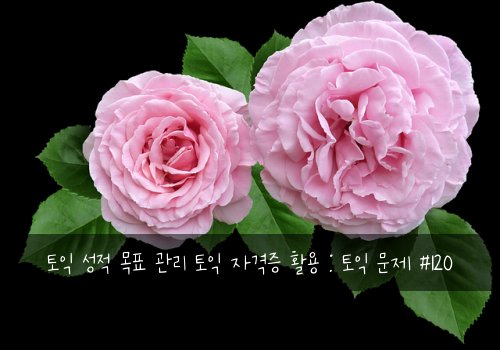 토익 성적 목표 관리 토익 자격증 활용 : 토익 문제 #120