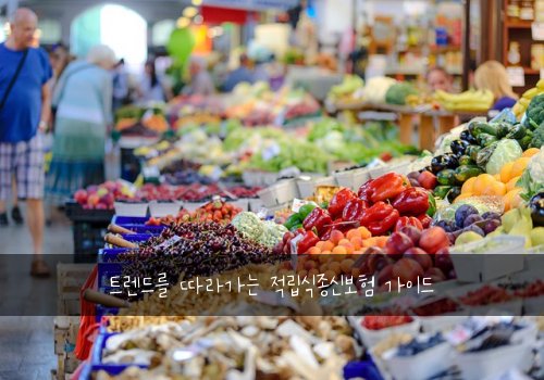 트렌드를 따라가는 적립식종신보험 가이드