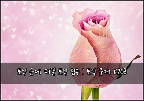 토익 문제 해결 토익 점수 : 토익 문제 #208