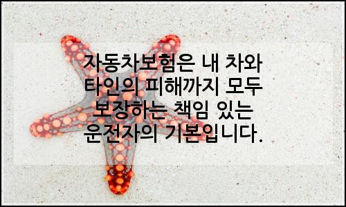 오늘의 이미지