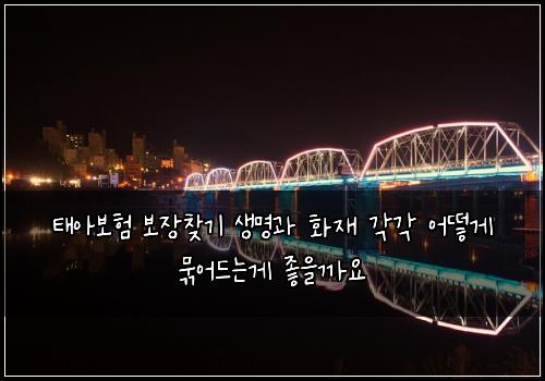 태아보험 보장찾기  생명과 화재 각각 어떻게 묶어드는게 좋을까요
