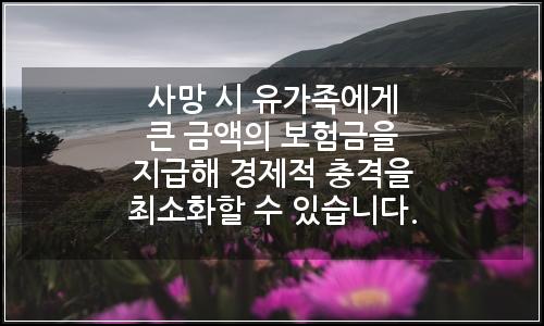 오늘의 이미지