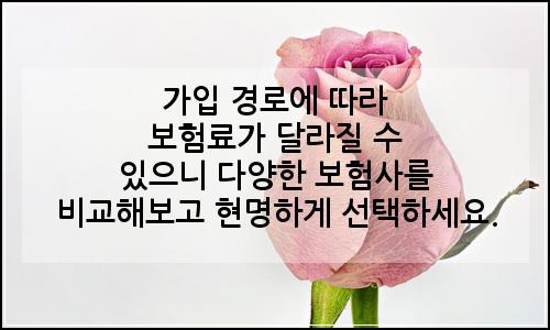 오늘의 이미지