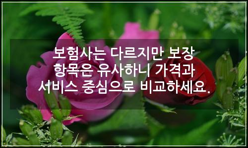 오늘의 이미지