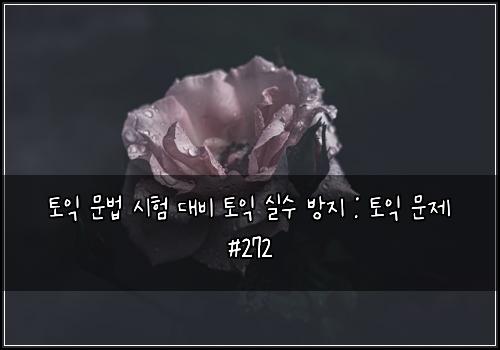 토익 문법 시험 대비 토익 실수 방지 : 토익 문제 #272
