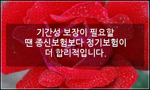 오늘의 이미지