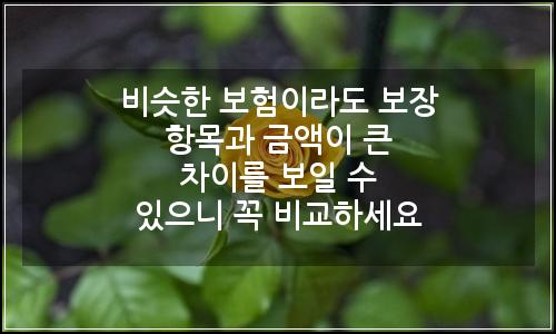 오늘의 이미지