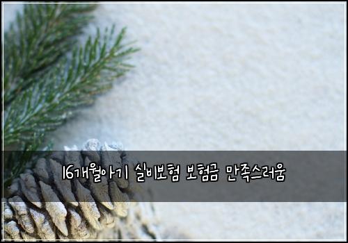 16개월아기 실비보험 보험금 만족스러움