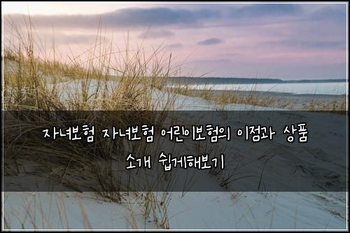 자녀보험 자녀보험 어린이보험의 이점과 상품 소개 쉽게해보기