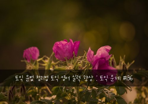 토익 문법 정리법 토익 영어 실력 향상 : 토익 문제 #136