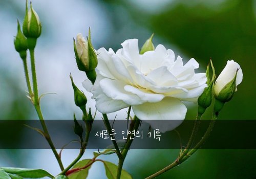 새로운 인연의 기록