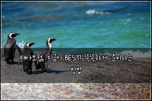 태아보험, 지금이 BEST! 똑똑하게 준비하는 방법