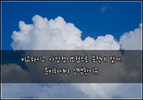 비교하시고 사망정기보험으로 목적에 맞게 준비하셔야 선택한이유