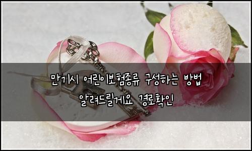 만기시 어린이보험종류 구성하는 방법 알려드릴게요 경로확인