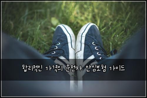  합리적인 가격의 운전자 안심보험 가이드