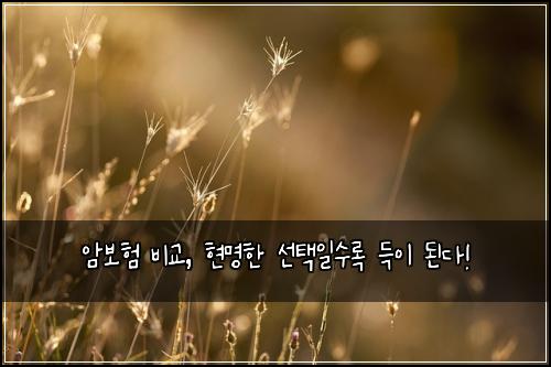 암보험 비교, 현명한 선택일수록 득이 된다!