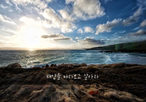 태양을 바라보고 살아라