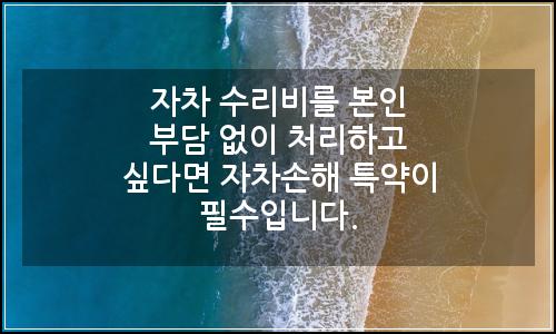 오늘의 이미지