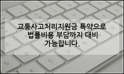 오늘의 이미지