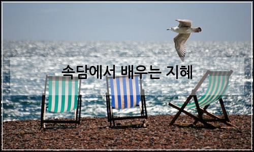 오늘의 이미지