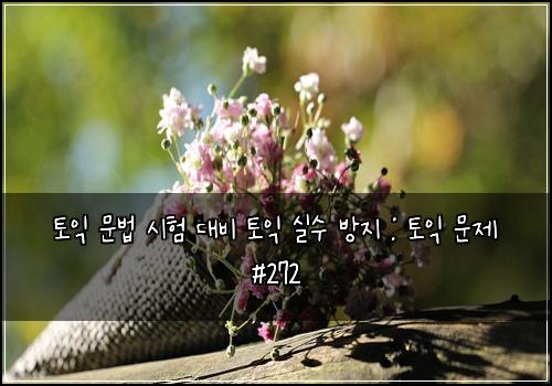 토익 문법 시험 대비 토익 실수 방지 : 토익 문제 #272