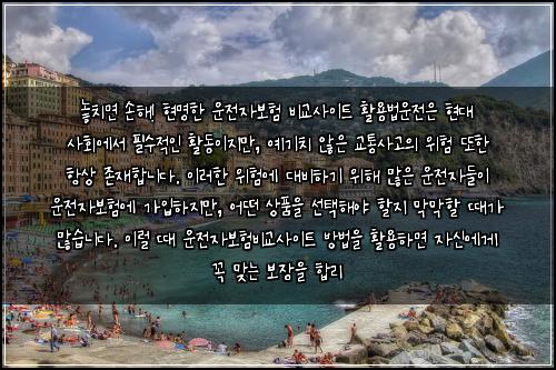  놓치면 손해! 현명한 운전자보험 비교사이트 활용법

운전은 현대 사회에서 필수적인 활동이지만, 예기치 않은 교통사고의 위험 또한 항상 존재합니다. 이러한 위험에 대비하기 위해 많은 운전자들이 운전자보험에 가입하지만, 어떤 상품을 선택해야 할지 막막할 때가 많습니다. 이럴 때 운전자보험비교사이트 방법을 활용하면 자신에게 꼭 맞는 보장을 합리