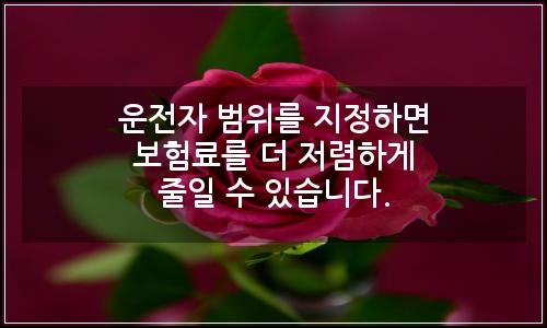 오늘의 이미지