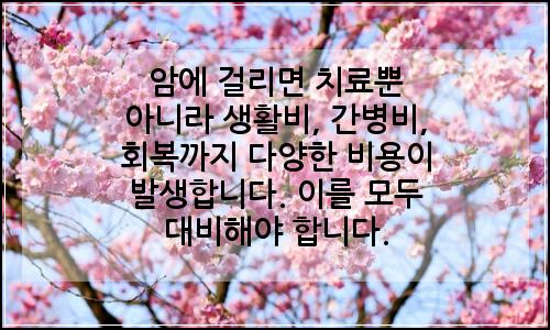 오늘의 이미지