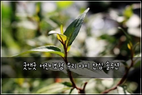 굿앤굿 어린이보험: 우리 아이 안심 솔루션