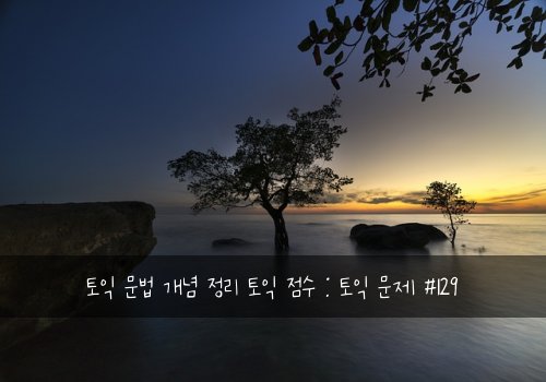 토익 문법 개념 정리 토익 점수 : 토익 문제 #129