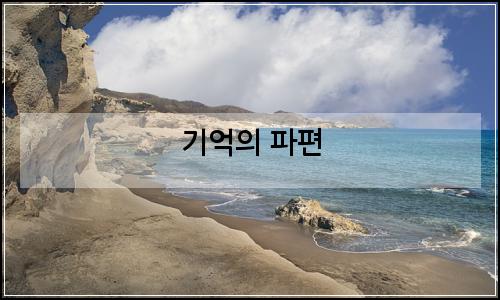오늘의 이미지