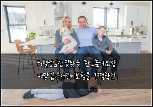 허혈성심장질환을 한도높게보장 내맘같은어린이보험을 견적확인