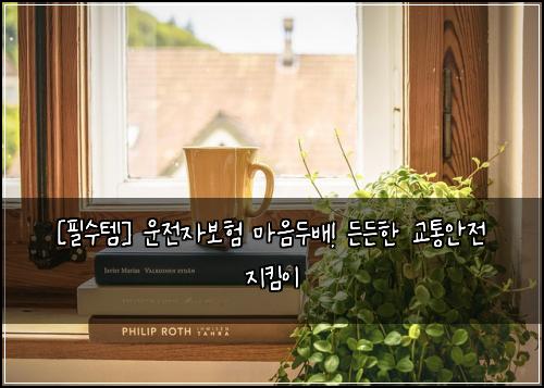  [필수템] 운전자보험 마음두배! 든든한 교통안전 지킴이