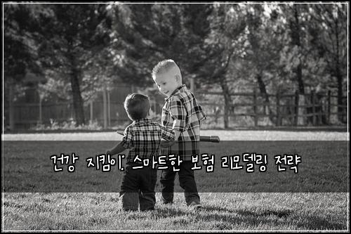 건강 지킴이: 스마트한 보험 리모델링 전략