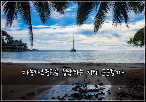 자동차보험료를 절약하는 지혜 든든할까