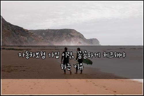 자동차보험 가입 이력, 꼼꼼하게 체크해야 하는 이유