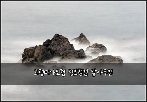 고령태아보험 정보점검  알아두면