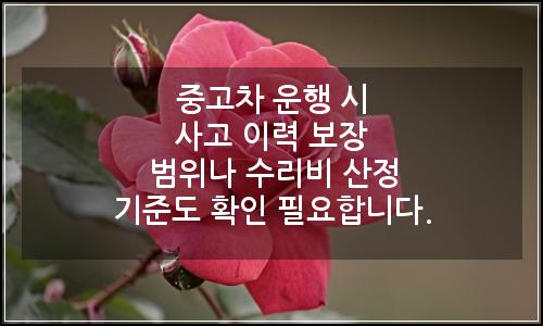 오늘의 이미지