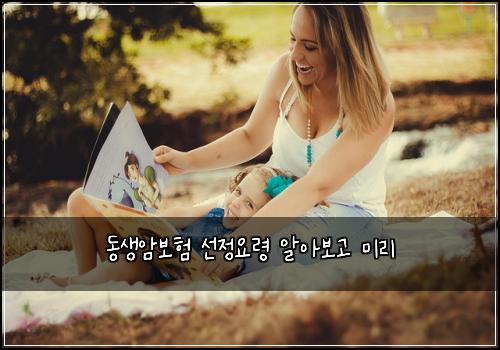 동생암보험 선정요령  알아보고 미리