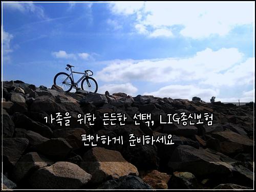  가족을 위한 든든한 선택, LIG종신보험 편안하게 준비하세요