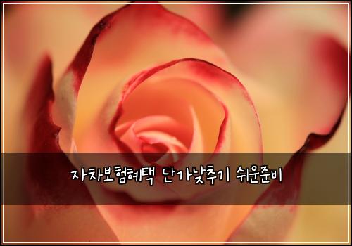 자차보험혜택 단가낮추기 쉬운준비
